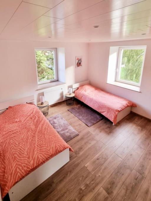 Appartement Chaleureux 80M2 オルベ エクステリア 写真
