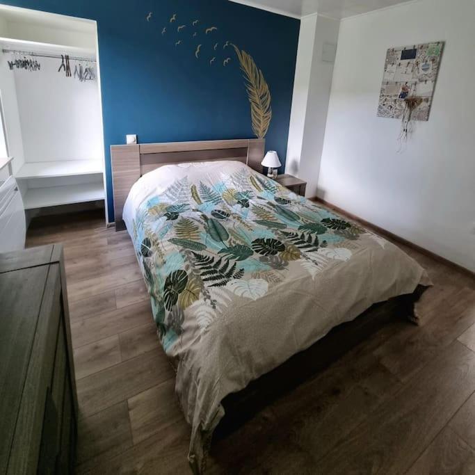 Appartement Chaleureux 80M2 オルベ エクステリア 写真