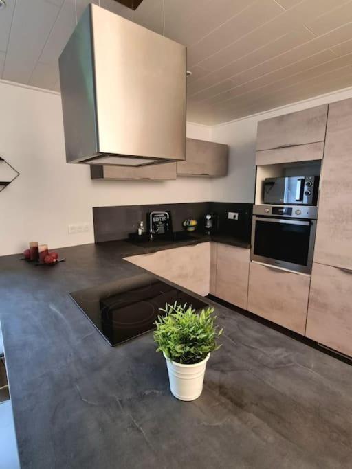 Appartement Chaleureux 80M2 オルベ エクステリア 写真